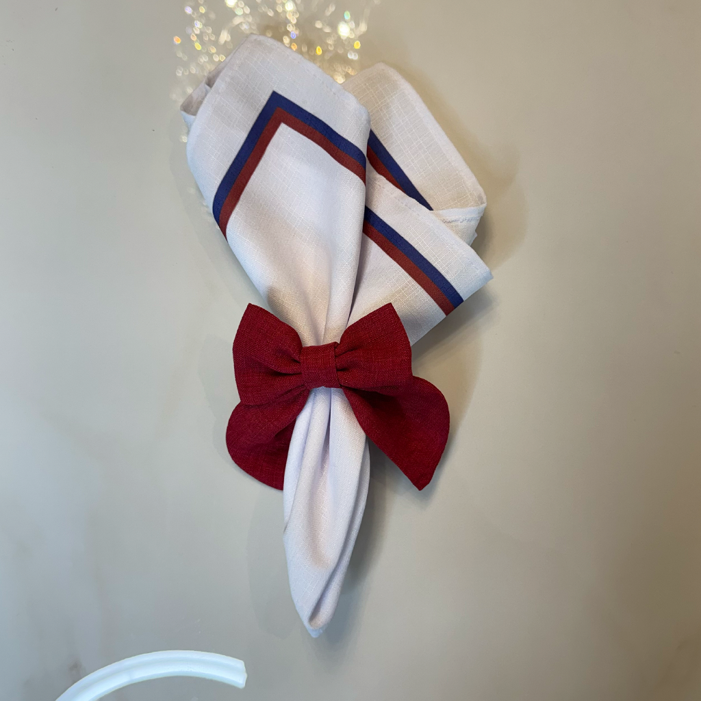 Marsala and Blue Napkin with Border